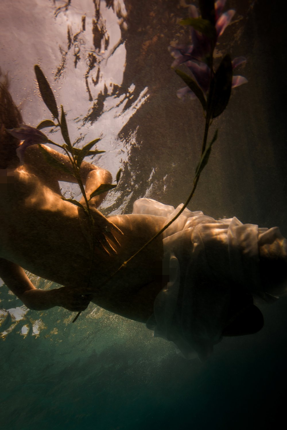 1F6A1599_CRDP+copie_CRDP